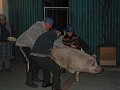 20121209_Porc_CS (4)